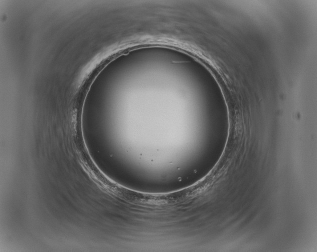X0000086241503200703291342