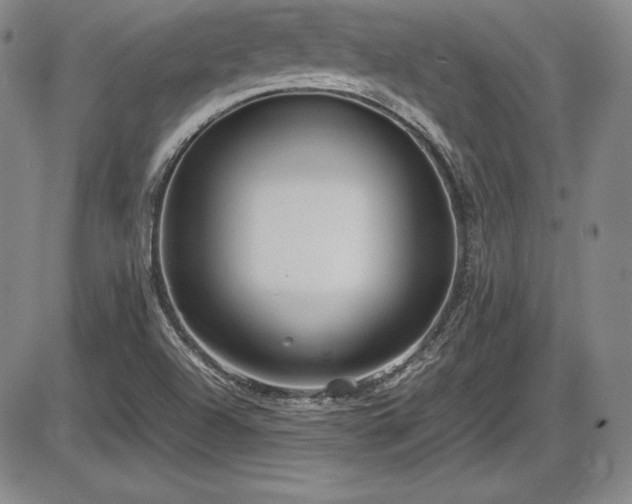X0000086241504200703291342