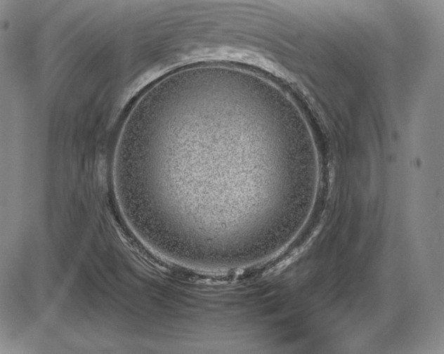 X0000086241505200703291342