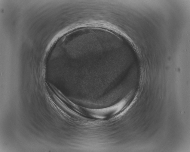 X0000086241506200703291342
