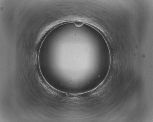 X0000086241507200703291342