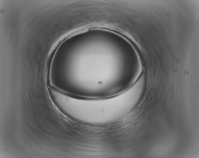 X0000086241508200703291342
