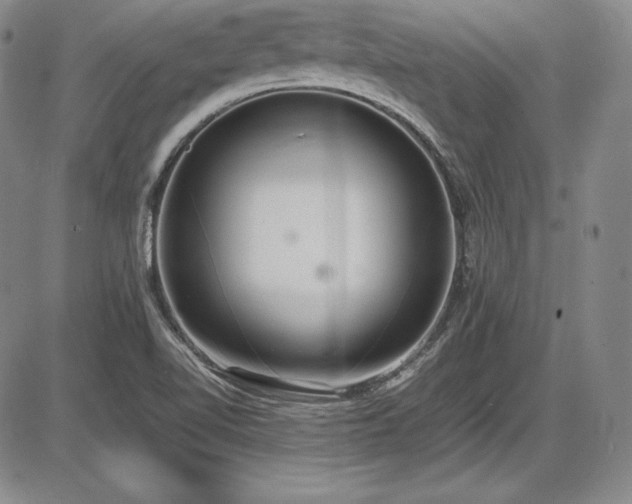 X0000086241510200703291342