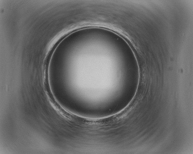 X0000086241511200703291342
