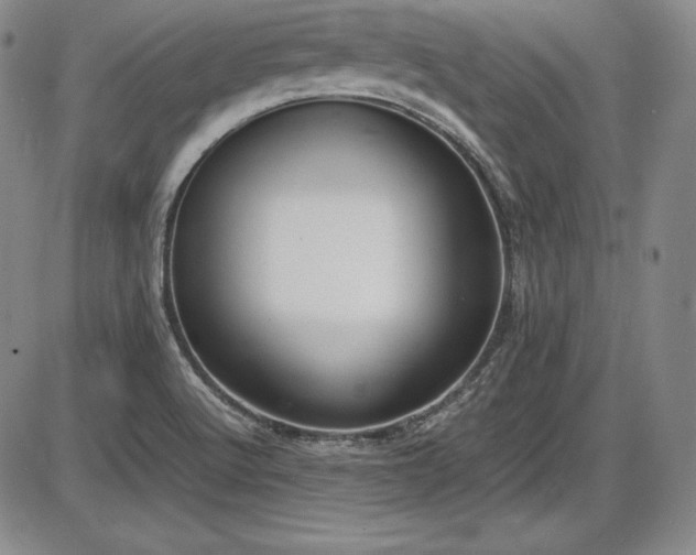 X0000086241512200703291342