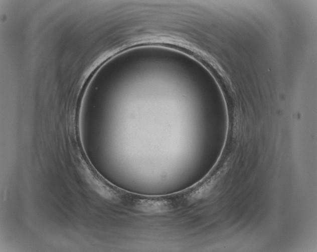 X0000086241513200703291342