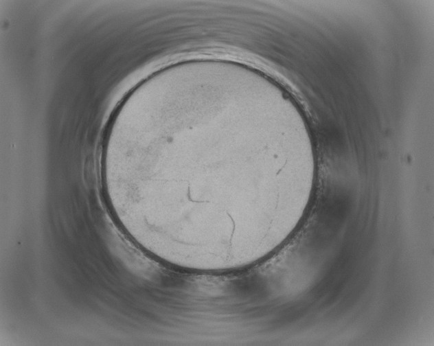 X0000086241514200703291342