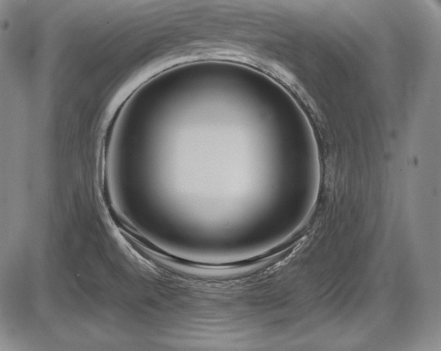 X0000086241520200703291342