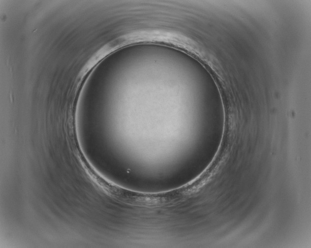 X0000086241521200703291342