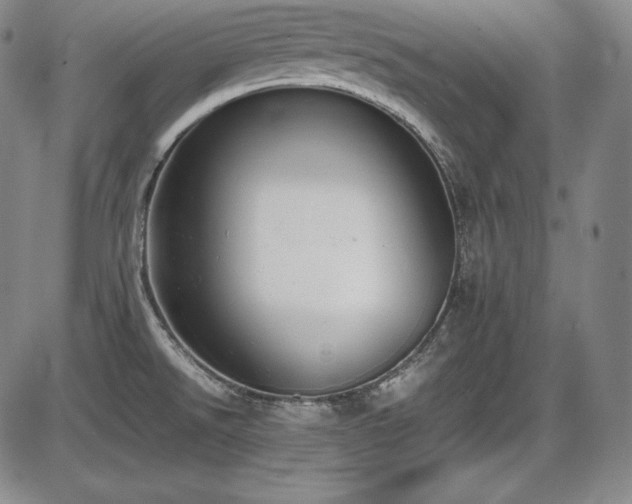 X0000086241526200703291342