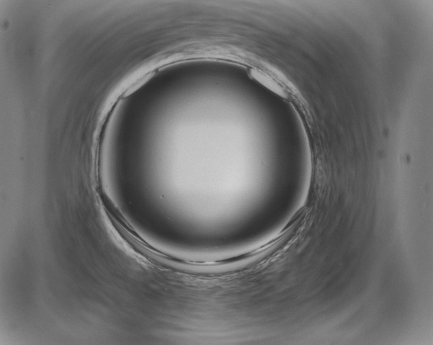 X0000086241528200703291342
