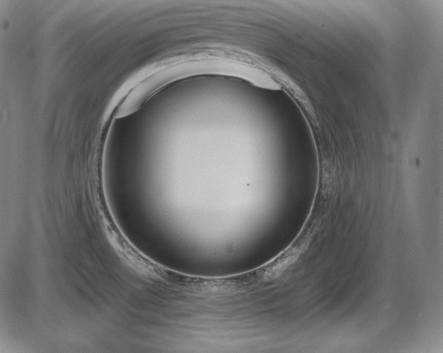 X0000086241530200703291342