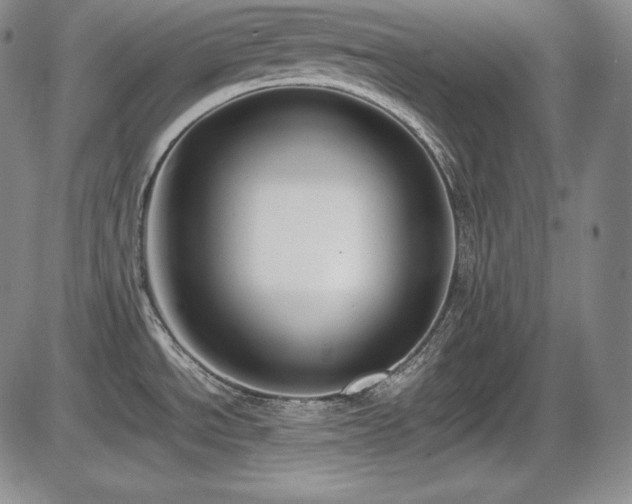 X0000086241534200703291342