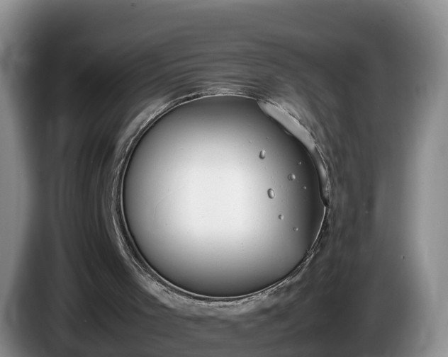 X0000086240001200704051229