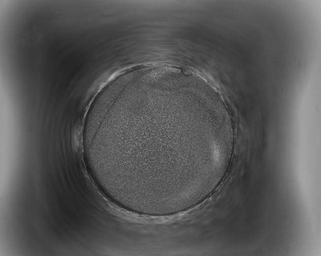 X0000086240002200704051229