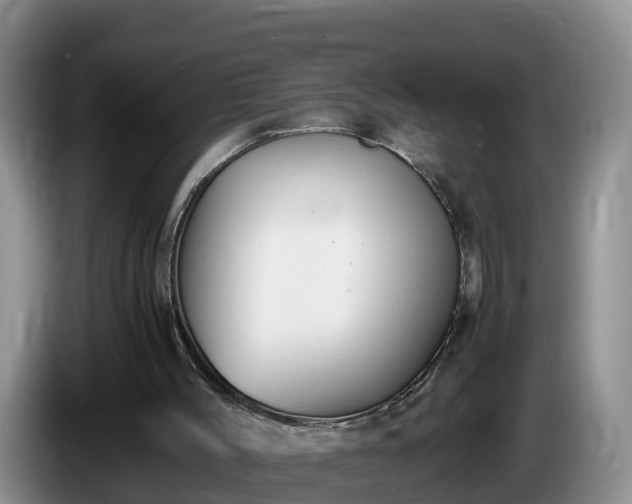 X0000086240004200704051229
