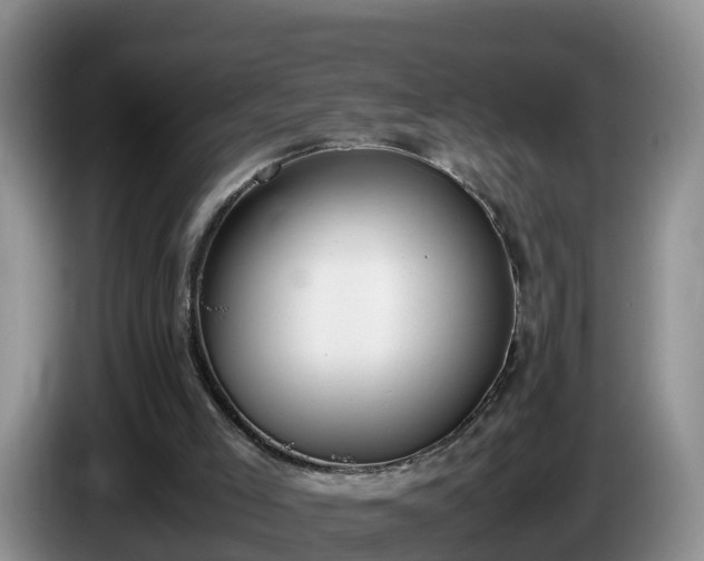 X0000086240005200704051229
