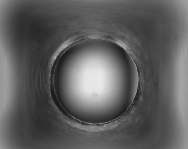 X0000086240007200704051229