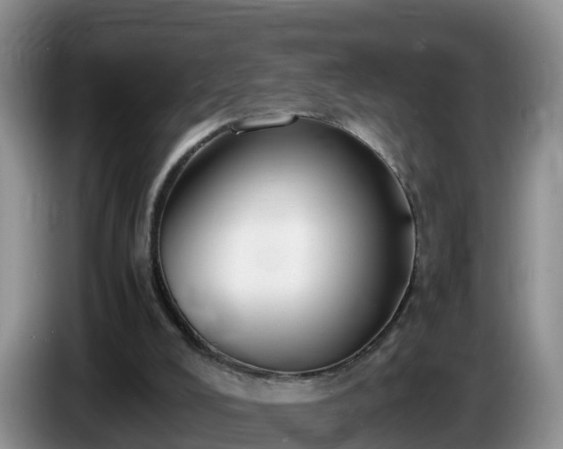 X0000086240008200704051229