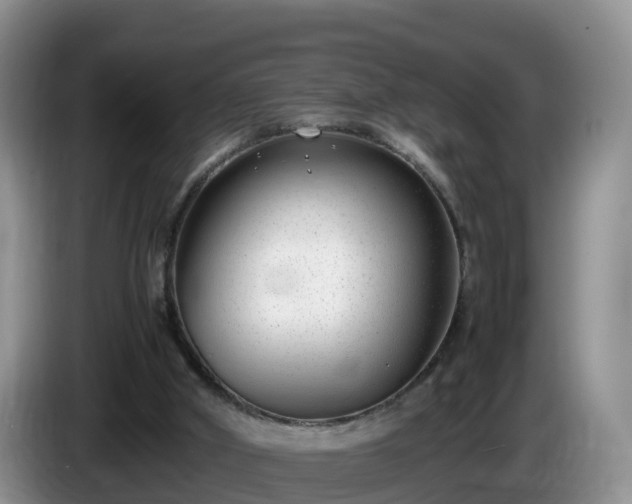 X0000086240010200704051229