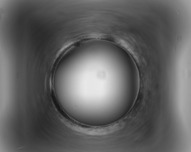 X0000086240011200704051229