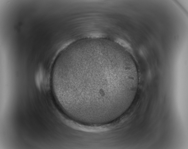 X0000086240012200704051229