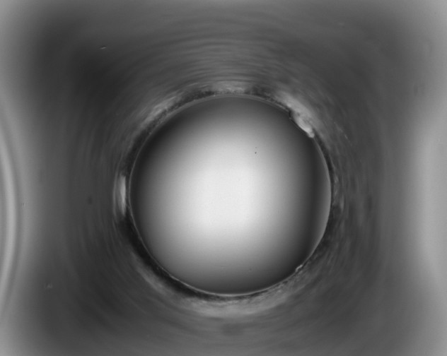X0000086240013200704051229