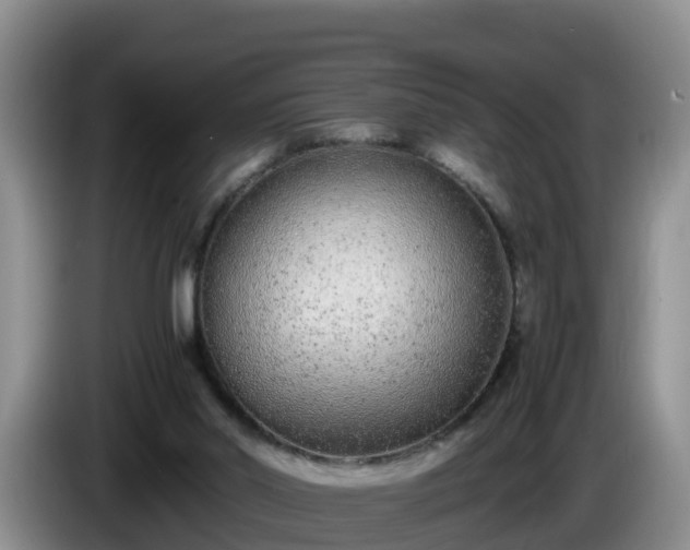 X0000086240014200704051229