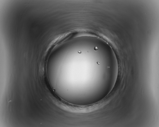 X0000086240015200704051229