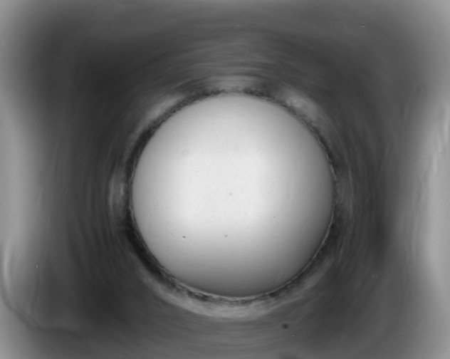 X0000086240016200704051229