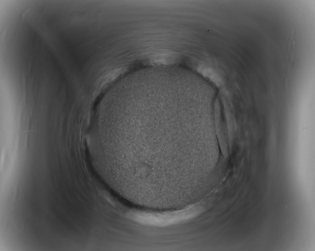 X0000086240017200704051229