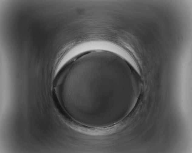 X0000086240019200704051229