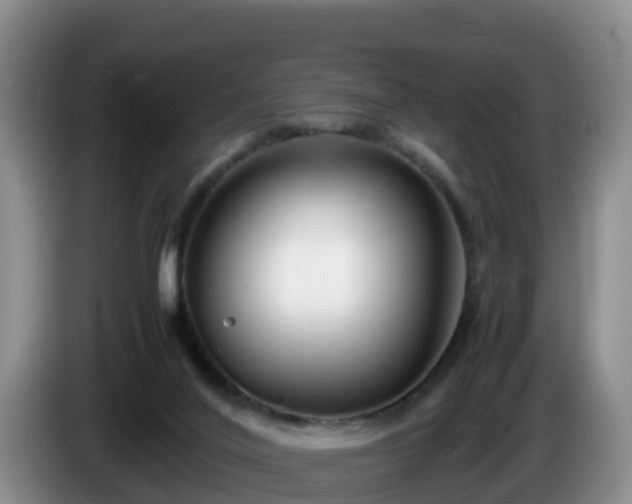 X0000086240020200704051229