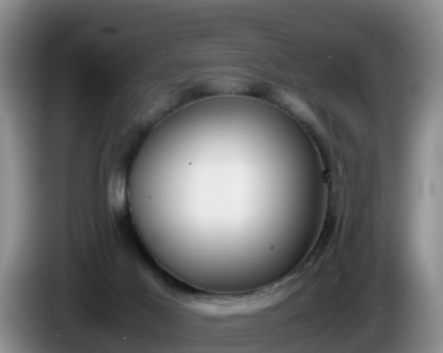 X0000086240021200704051229