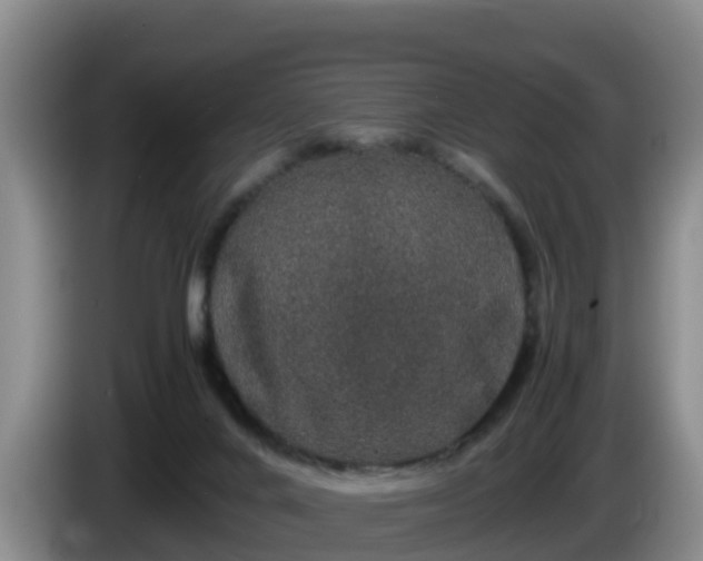 X0000086240024200704051228