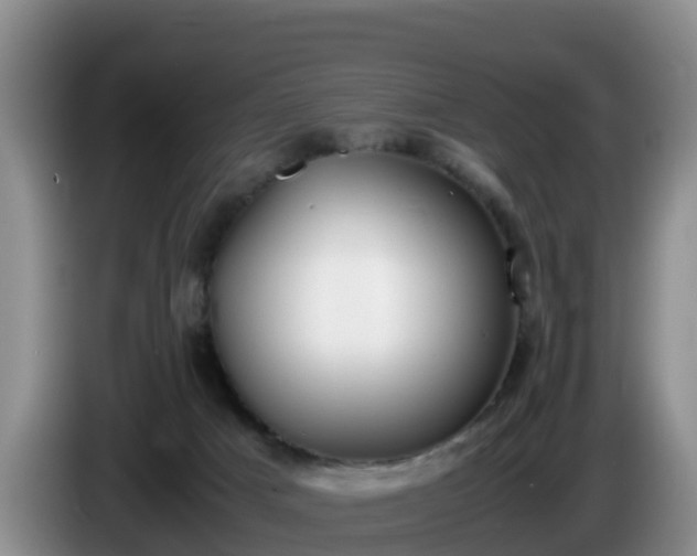 X0000086240025200704051228