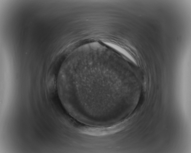 X0000086240029200704051228