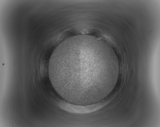 X0000086240030200704051228