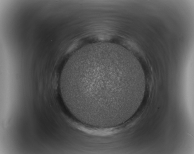 X0000086240032200704051228
