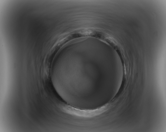 X0000086240035200704051228