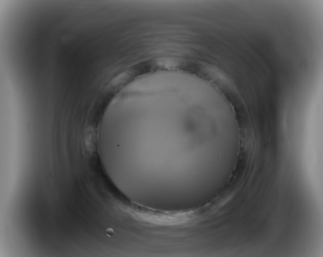 X0000086240036200704051228