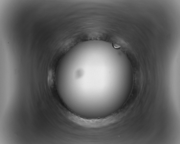 X0000086240038200704051228