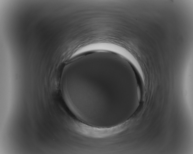 X0000086240039200704051228