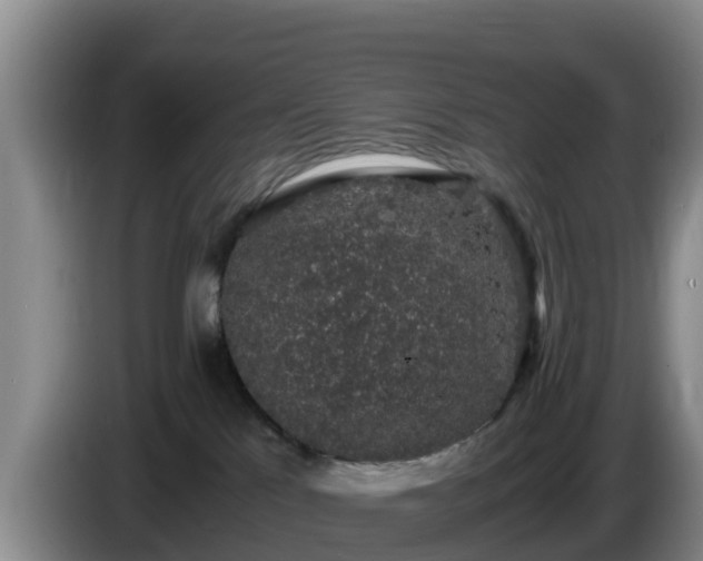 X0000086240041200704051228