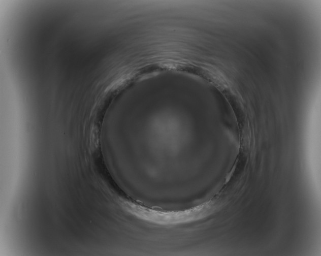X0000086240043200704051228
