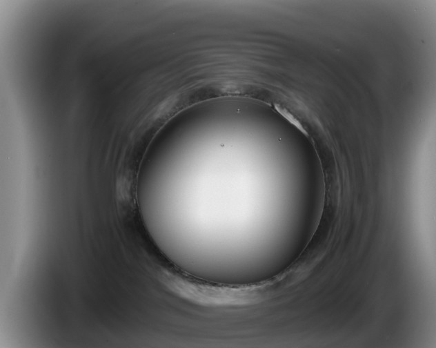 X0000086240044200704051228