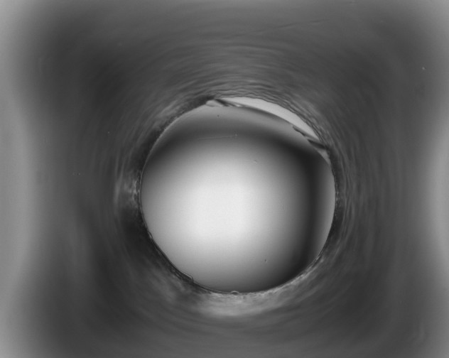 X0000086240045200704051228