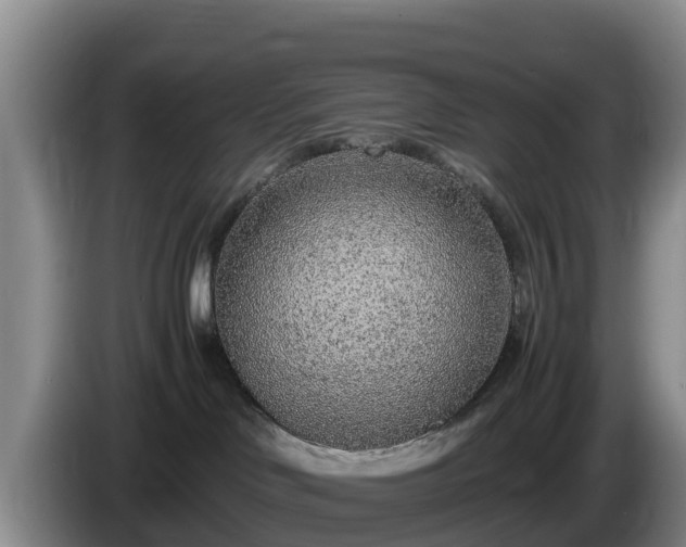 X0000086240046200704051228