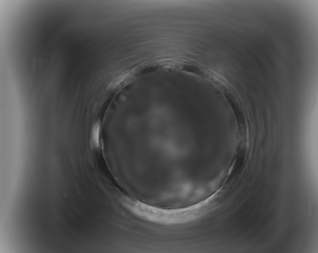 X0000086240047200704051228