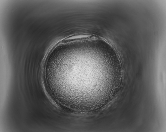 X0000086240049200704051227